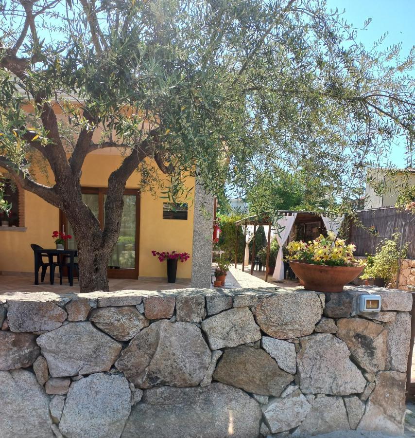 Affittacamere B&B Il Fiore بوسادا المظهر الخارجي الصورة